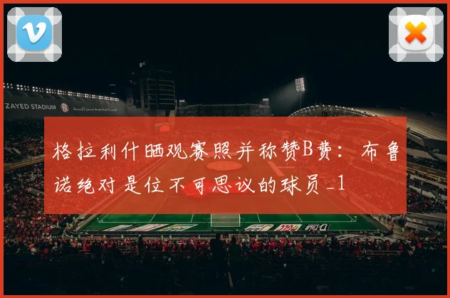 格拉利什晒观赛照并称赞B费：布鲁诺绝对是位不可思议的球员_1