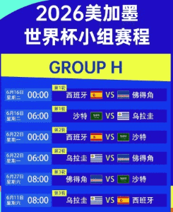 2026世界杯球场雄姿