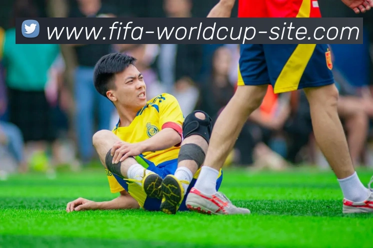 多媒体互动体验